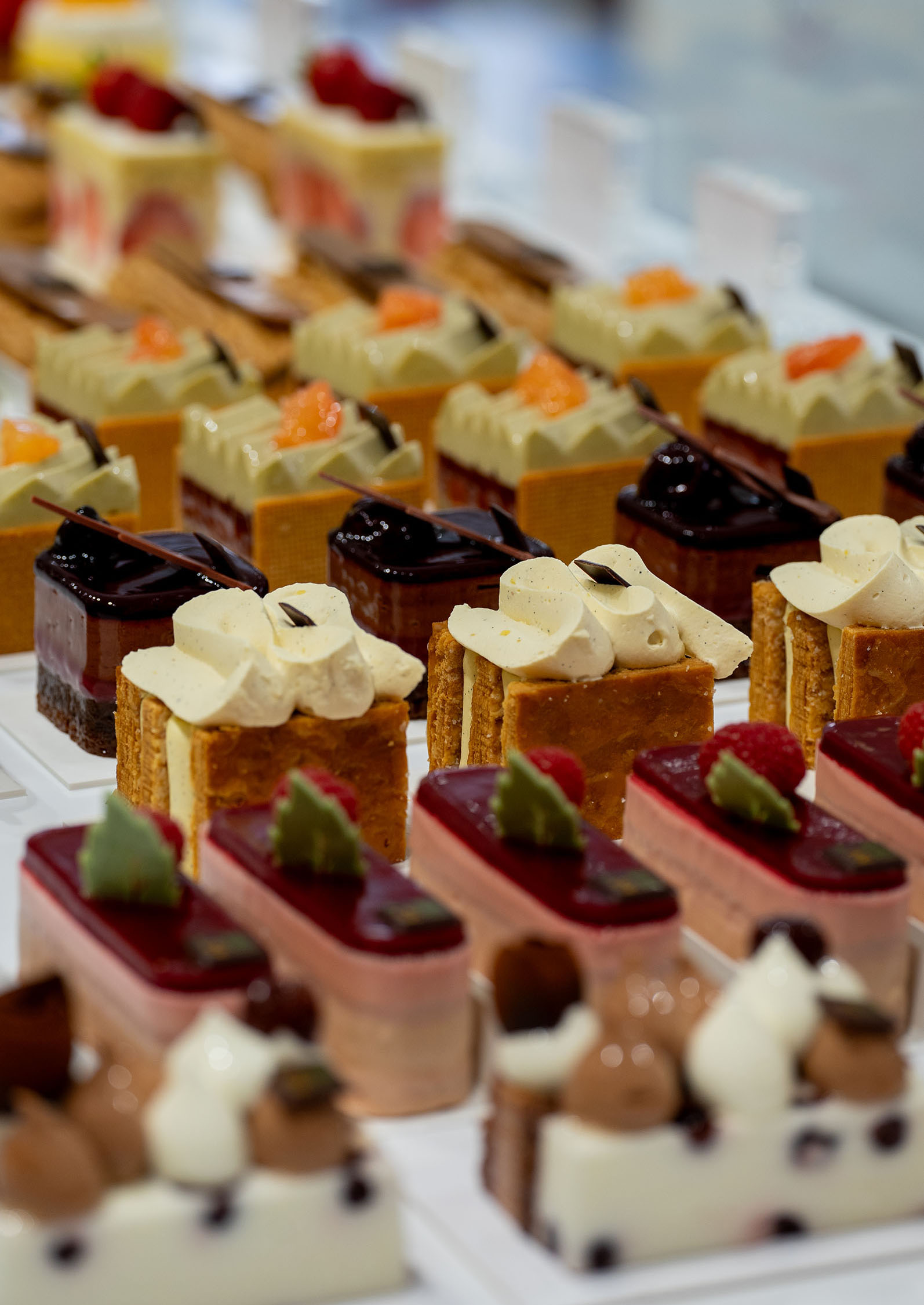 Stein%20Jean%20Marie_0017